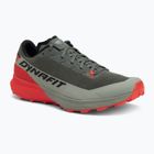 Herren Laufschuhe DYNAFIT Ultra yerba/thyme