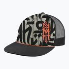 Basecap DYNAFIT Graphic Trucker overcast/0910 trail