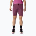 Damen-Trekking-Shorts DYNAFIT Transalper Light Dynastretch amaranth/0910