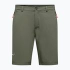 Herren-Trekking-Shorts Salewa Puez Talveno DST faded green
