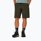 Herren-Trekking-Shorts Salewa Pedroc 4 DST Cargo dark olive/0910