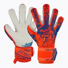 Reusch Attrakt Freegel Silver hyper orng/elec blau Torwarthandschuhe