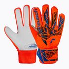 Reusch Attrakt Starter Grip Torwarthandschuh hyper orng/elec blau