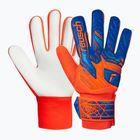 Torwarthandschuhe Reusch Attrakt Starter Solid shocking orange/blue