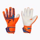 Torwarthandschuhe Reusch Attrakt Freegel Advance shocking orange/blue