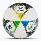 ERIMA Hybrid Eco Fußball silber/navy Größe 5