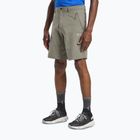 Jack Wolfskin Pico Trail Stein Herren-Trekking-Shorts