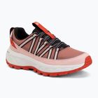 Wanderschuhe Damen  Jack Wolfskin Wild Hike Texapore Low rosegarden