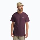 Herren T-Shirt Jack Wolfskin Essential Amaranth