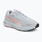 Laufschuhe für Damen Puma Velocity Nitro 2 GTX grey/salmon