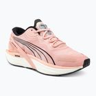 Damen Laufschuhe PUMA Run XX Nitro rose dust/puma schwarz