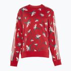 Damen adidas Thebe Magugu Crew Power rot/multicolor Sweatshirt