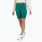 FILA Damen Leggings Buckautal Aventurin