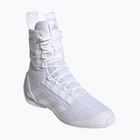 Boxen Schuhe adidas Speedex 23 Wolke weiß/Wolke weiß/grau ein