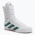 adidas Box Hog 4 Wolke weiß/collegiate grün/core schwarz Boxen Schuhe
