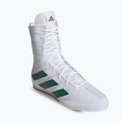 adidas Box Hog 4 Wolke weiß/collegiate grün/core schwarz Boxen Schuhe