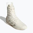 adidas Speedex 23 off weiß/beige/warm sandstone Boxschuhe