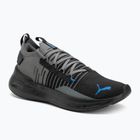 Laufschuhe PUMA Softride Symmetry Fuzion puma black/cool dark gray/puma team royal