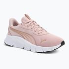 PUMA FlexFocus Lite Modern mauve mist/puma go Laufschuhe