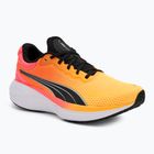 Laufschuhe PUMA Scend Pro sun stream/sunset glow