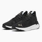 Laufschuhe Damen PUMA Softride Symmetry Fuzion puma black/puma gold