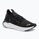 Laufschuhe Damen PUMA Softride Symmetry Fuzion puma black/puma gold