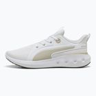 Laufschuhe PUMA PUMA Softride Carson puma white/desert dust