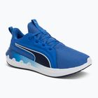 Laufschuhe PUMA PUMA Softride Carson vivid blue/puma navy