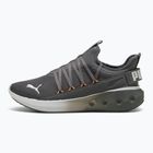 Laufschuhe PUMA PUMA Softride Carson Fresh cool dark gray/feather gray/heat fire