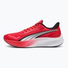 Laufschuhe PUMA PUMA Pounce Lite for all time red/puma white