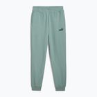 Hosen Herren PUMA ESS No. 1 Logo Sweatpants TR CL green moon