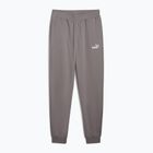 Hosen Herren PUMA ESS No. 1 Logo Sweatpants TR CL cast iron