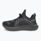 Laufschuhe PUMA PUMA Softride Enzo 5 puma black/cool dark gray