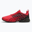 Laufschuhe PUMA PUMA Voltaic Evo for all time red/puma black