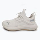 Laufschuhe Damen PUMA Softride Enzo 5 warm white/modern mint