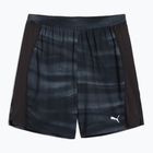 Herren Laufshorts PUMA Run Velocity AOP 7" puma schwarz