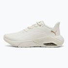 Laufschuhe Damen PUMA X-Cell Nova CAT SL warm white/puma gold