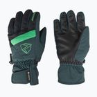 Skihandschuhe Kinder ZIENER Leif GTX dark jungle