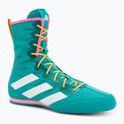Boxschuhe adidas Box Hog 4 turquoise