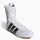 Boxschuhe adidas Box Hog Classic white
