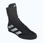 Boxschuhe adidas Box Hog 4 black/white