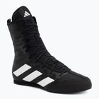 Boxschuhe adidas Box Hog 4 black/white