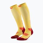 CEP Run Tall 5.0 Kompressionssocken für Frauen Ringelblume/Burgund
