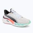 Herren Laufschuhe PUMA Velocity Nitro 4 Hyrox puma weiß / mint