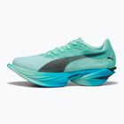 Damen Laufschuhe PUMA Fast-R Nitro Elite 3 mint melt / speed blau