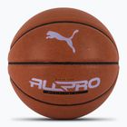 PUMA teamJAWS All Pro Basketball Leder braun/puma schwarz Größe 7