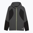 Laufjacke Herren PUMA Run Ultraweave Hooded dusky gray