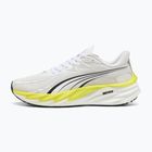 Herren Laufschuhe PUMA Velocity Nitro 4 white