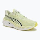 Herren Laufschuhe Puma Velocity Nitro 4 green