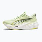 Herren-Laufschuhe PUMA MagMax Nitro 2 green